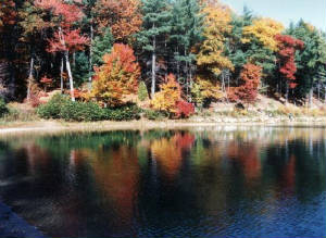 waldenpond2.jpg